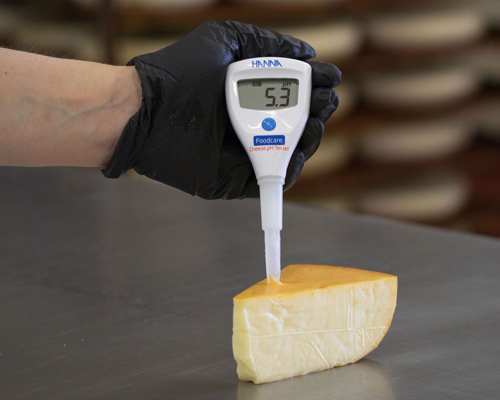 Hanna Instruments Foodcare HI-981032 pH testeris sieram