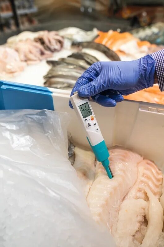 Testo 206-pH3 pH mērītājs 0563 2063 (var pievienot dažādus elektrodus)